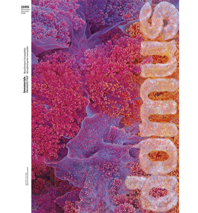 Domus N. 1106 Novembre 2025 - Digitale